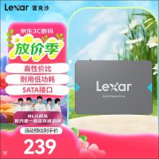 <b>雷克沙 NQ100 480GB SSD京东限时特惠到手只需229元</b>